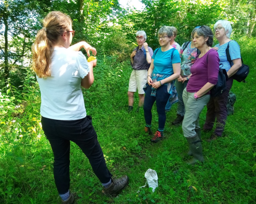 Photograph of a group of walkers in a green space facing a woman with her back to the camera.