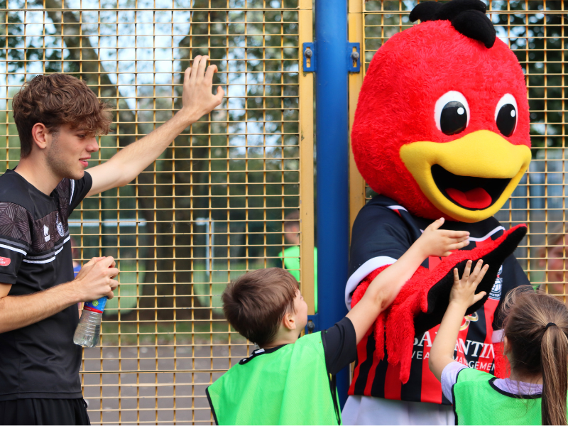 A photo of a young volunteer stood next to a football mascot dressed as a cartoon-style red chicken. Children in green vests are giving the mascot a high five.