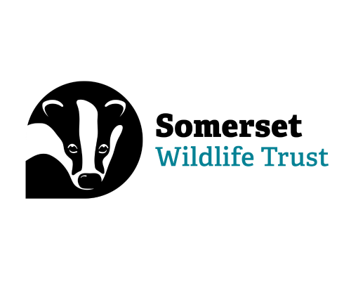 Somerset Wildlife Trust logo