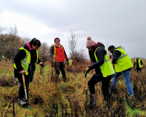 A photo of a group of volunteers in high-vis jackets, taking part in a team tree-planting day