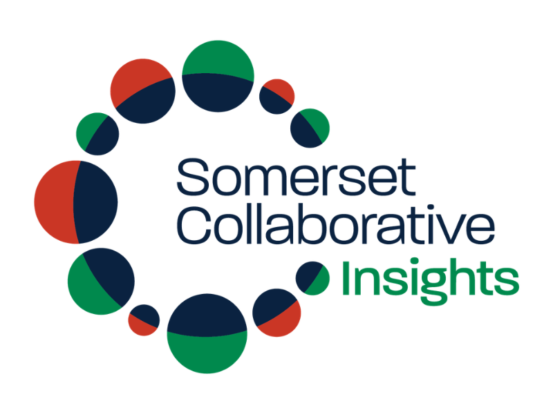 Somerset Collaborative Insights
