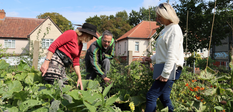 A man and two women working outdoors in a vegetable patch